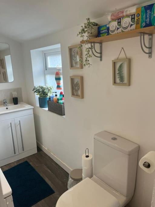 Just The Splott! Sleeps 6, 8 Mins To Stadium. Cardiff Exterior photo